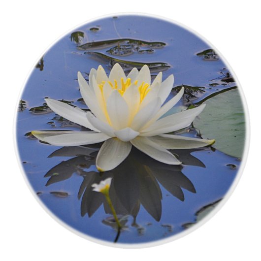 Water Lily Ceramic Knob. Keramische Knop (Voorkant)