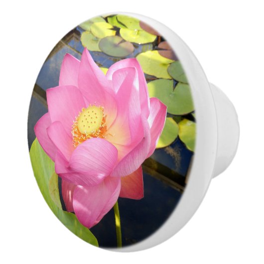 Water Lily Ceramic Knob. Keramische Knop (Rechts)