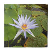 Water Lily Ceramic Tile Tegeltje (Voorkant)