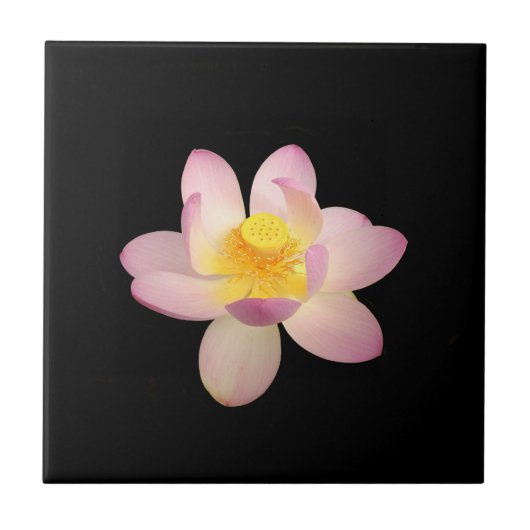 Water Lily Ceramic Tile Tegeltje (Voorkant)
