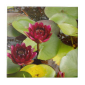 Water Lily Ceramic Tile Tegeltje (Voorkant)