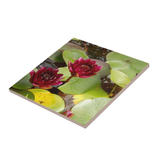 Water Lily Ceramic Tile Tegeltje (Zijkant)