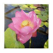 Water Lily Ceramic Tile Tegeltje (Voorkant)