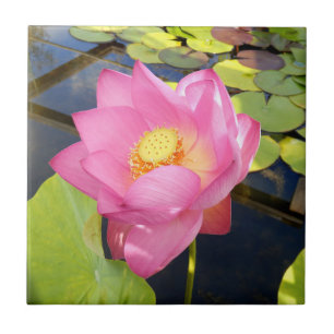 Water Lily Ceramic Tile Tegeltje