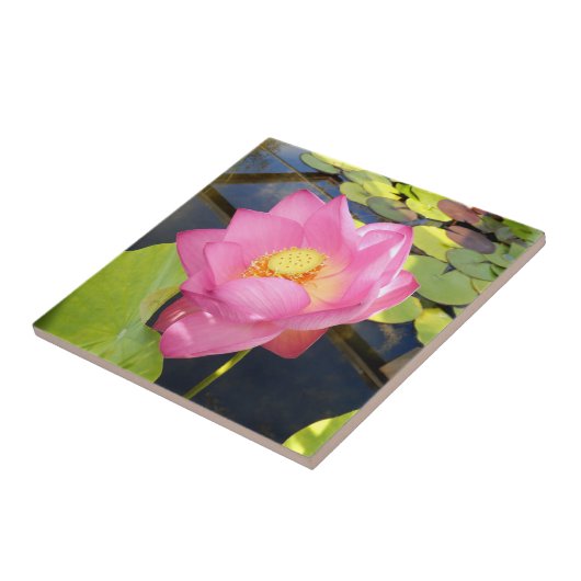 Water Lily Ceramic Tile Tegeltje (Zijkant)