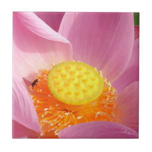 Water Lily Ceramic Tile Tegeltje