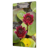 Water Lily Clipboard Klembord (Links)