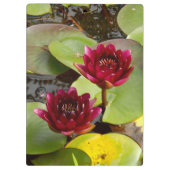Water Lily Clipboard Klembord (Achterkant)