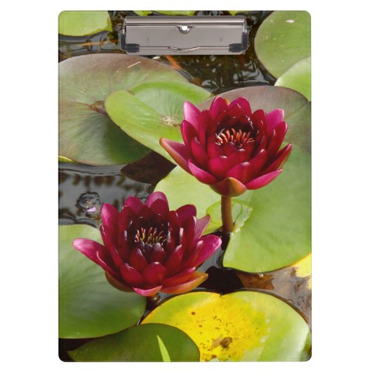 Water Lily Clipboard Klembord (Voorkant)