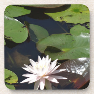 Water Lily Drankjes Onderzetter