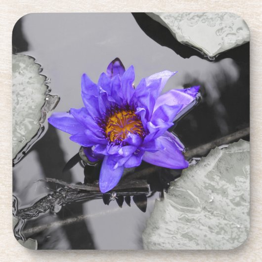 Water Lily Drankjes Onderzetter (Voorkant)