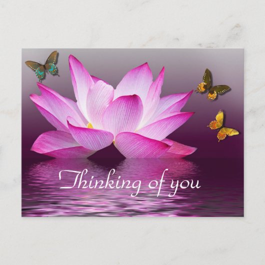 Water Lily en Butterflies Briefkaart (Voorkant)