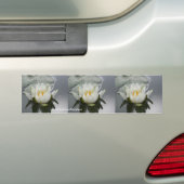 Water Lily Flower Bumpersticker Car Art (Op auto)