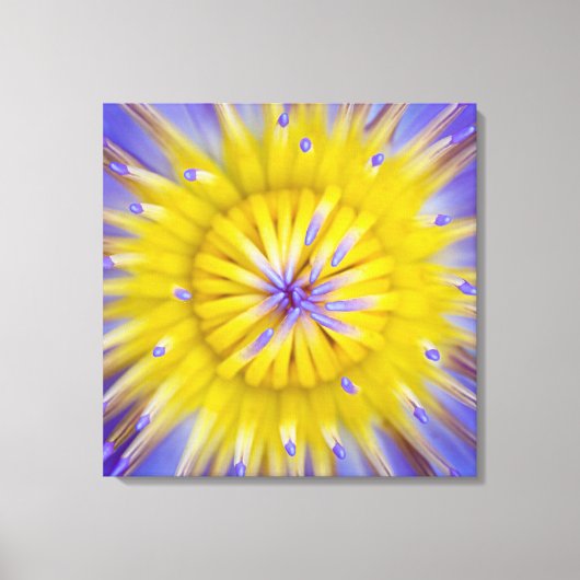 Water Lily Flower Canvas Afdruk (Voorkant)