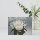 Water Lily Flower Photography Briefkaart (Staand voorkant)