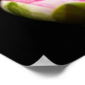 Water Lily Flower Poster (Hoek)