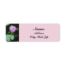 Water Lily Foto: Prachtige Roze Paarse Bloom Etiket