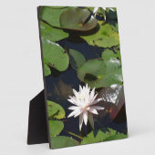 Water Lily Fotoplaat (Zijkant)