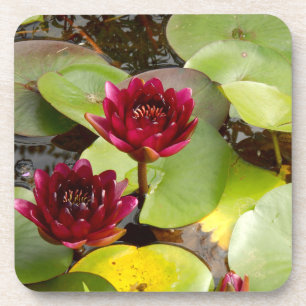 Water Lily Hard Plastic Onderzetter
