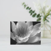 Water Lily in Black & White in Keizer, Oregon Briefkaart (Staand voorkant)