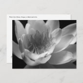 Water Lily in Black & White in Keizer, Oregon Briefkaart (Voorkant / Achterkant)