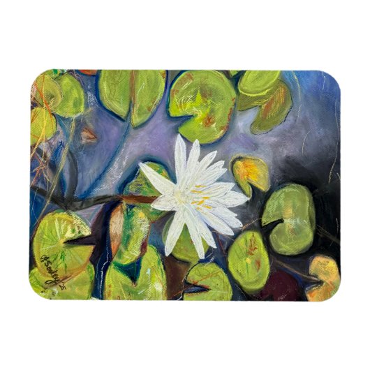 Water Lily in Bloom Magnet Magneet (Horizontaal)