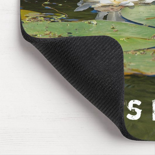 Water Lily in Pond Muismat (Hoek)