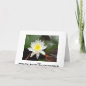 Water Lily Kaart (Achterkant)