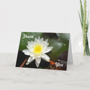 Water Lily Kaart