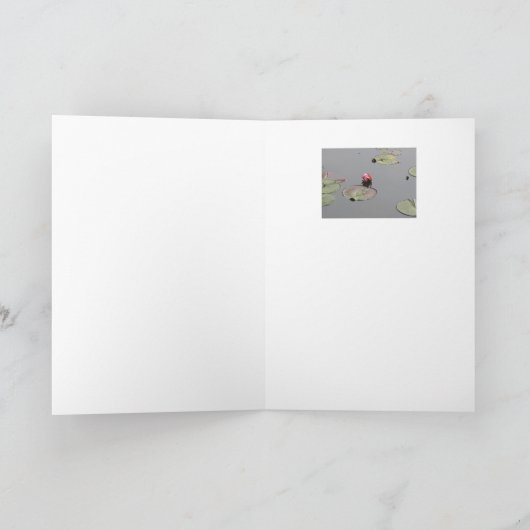 Water Lily Kaart (Binnen)