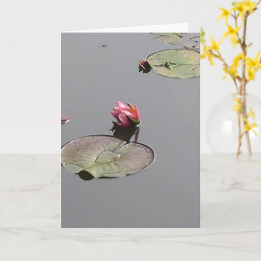 Water Lily Kaart (Gele Bloem)