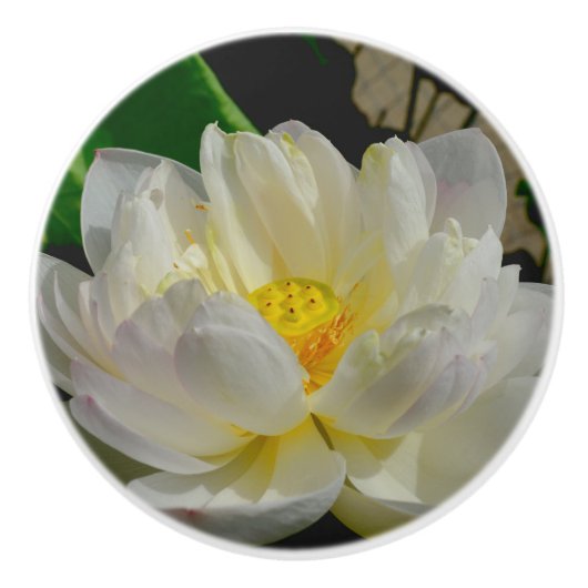 Water Lily Knob Keramische Knop (Voorkant)