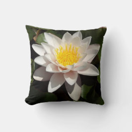 Water Lily Kussen