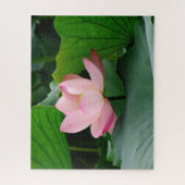 Water Lily Legpuzzel (Verticaal)