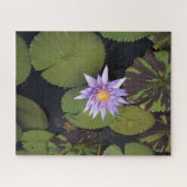 Water Lily Legpuzzel (Horizontaal)