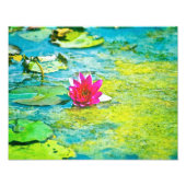 Water Lily Lilypad Foto Afdruk (Voorkant)