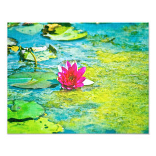 Water Lily Lilypad Foto Afdruk