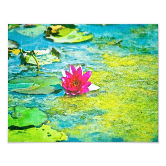Water Lily Lilypad Foto Afdruk (Voorkant)