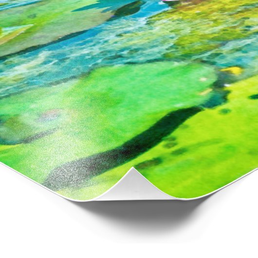 Water Lily Lilypad Foto Afdruk (Hoek)