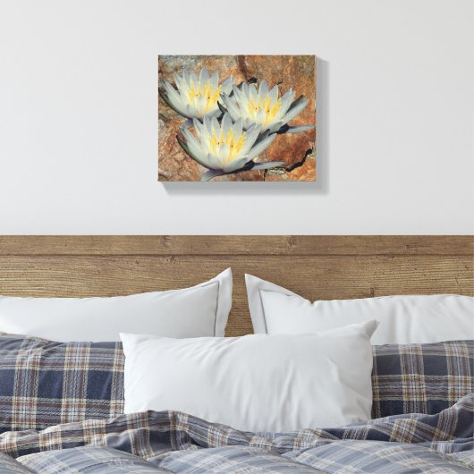 Water Lily Lotus bloemen op steen Canvas Afdruk (Insitu (Slaapkamer))