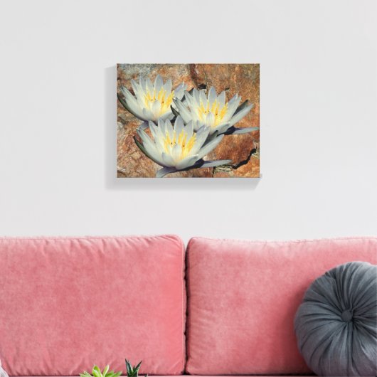 Water Lily Lotus bloemen op steen Canvas Afdruk (Insitu (Woonkamer))