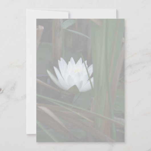 Water Lily Lotus Blossom Floral Invitation Kaart (Achterkant)