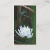 Water Lily Lotus Flower Visitekaartje (Achterkant)