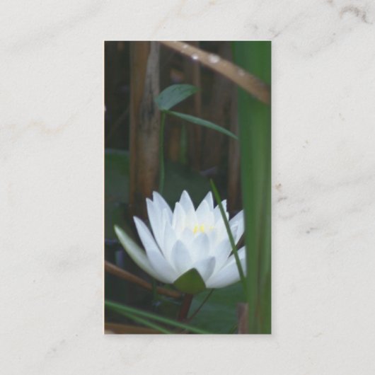 Water Lily Lotus Flower Visitekaartje (Achterkant)
