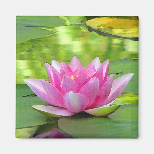 Water Lily Magneet (Voorkant)