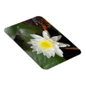 Water Lily Magneet (Rechterzijde)