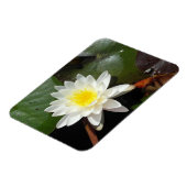 Water Lily Magneet (Linkerzijde)