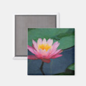 Water Lily Magneet (Voorkant / Achterkant)