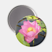Water Lily Magnet (Voorkant / Achterkant)