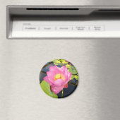 Water Lily Magnet (Insitu (Vaatwasser))